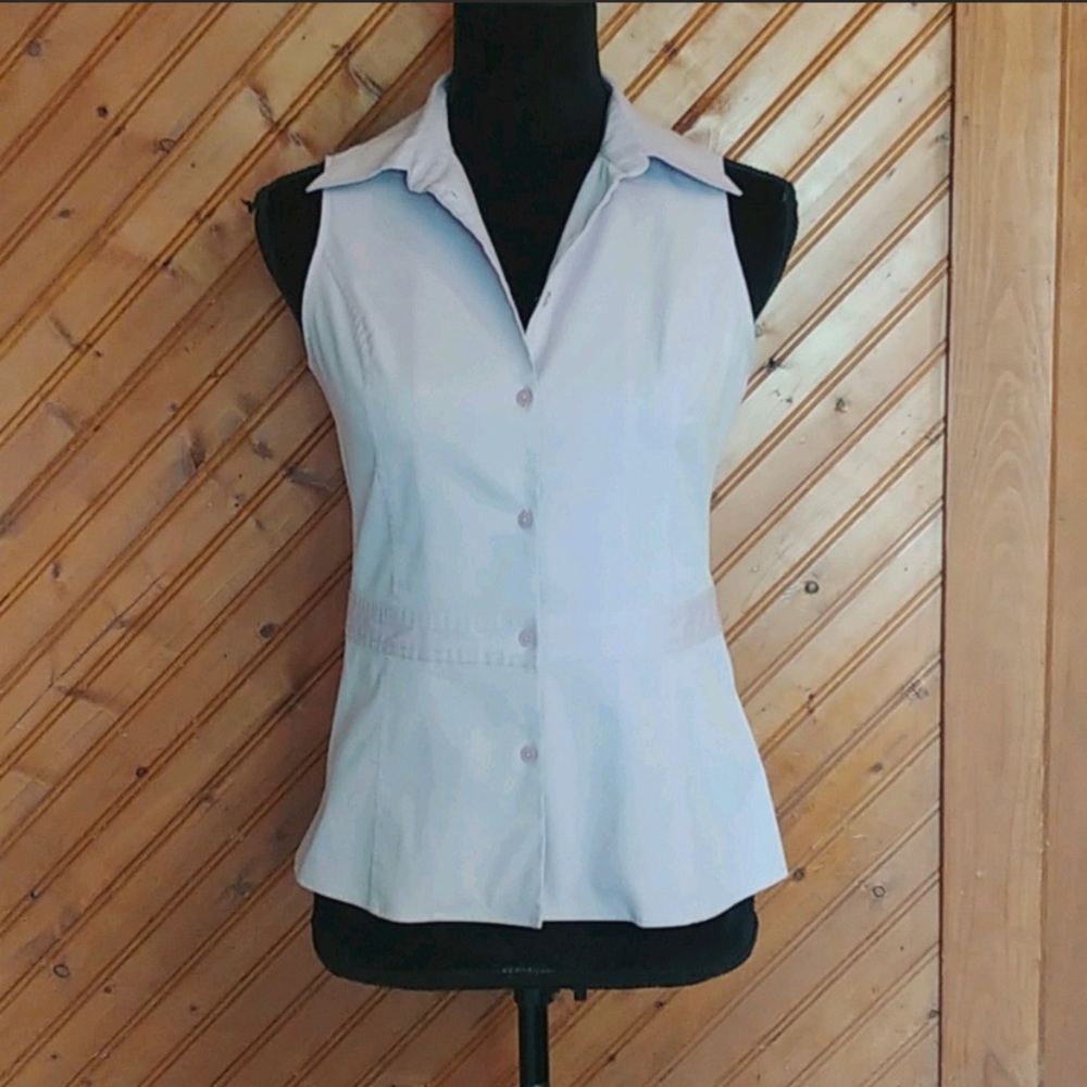Express stretch lavender top